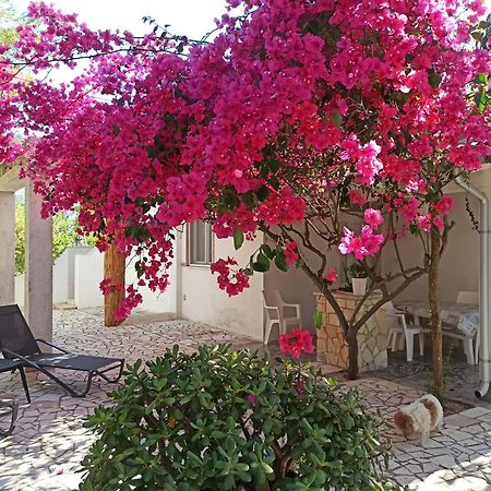Villa Beatrice Serranova Bagian luar foto