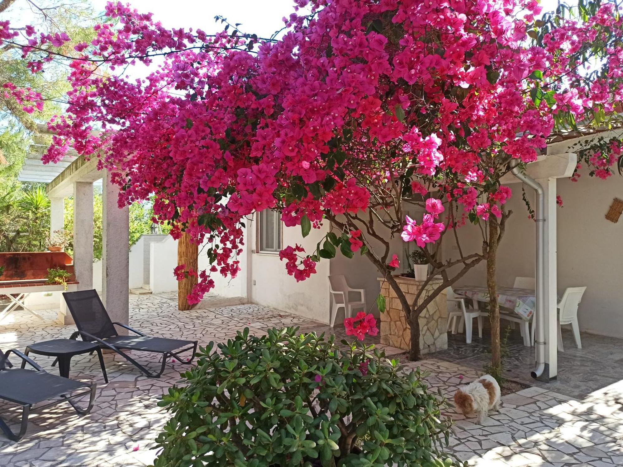 Villa Beatrice Serranova Bagian luar foto